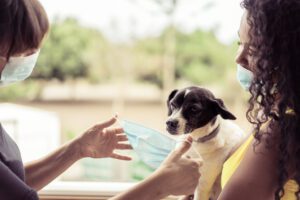 Pet Allergy Doctor treating child